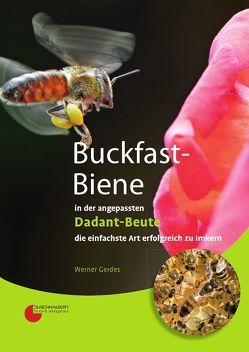 Buckfast-Biene in der angepassten Dadant-Beute von Gerdes,  Werner