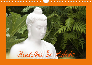 Buddha & Zitate (Wandkalender 2020 DIN A4 quer) von Stanzer,  Elisabeth