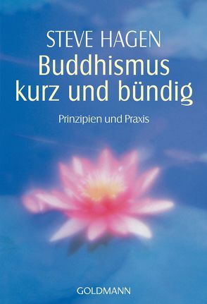 Buddhismus kurz und bündig von Hagen,  Steve, Ursula,  Gail