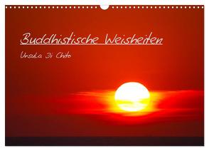 Buddhistische Weisheiten (Wandkalender 2024 DIN A3 quer), CALVENDO Monatskalender von Di Chito,  Ursula
