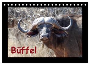 Büffel (Tischkalender 2024 DIN A5 quer), CALVENDO Monatskalender von Ohm,  Britta