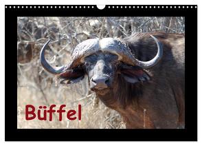 Büffel (Wandkalender 2024 DIN A3 quer), CALVENDO Monatskalender von Ohm,  Britta