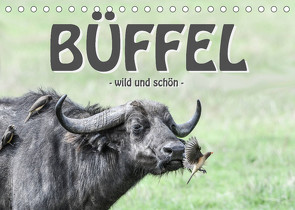 Büffel – wild und schön (Tischkalender 2023 DIN A5 quer) von Styppa,  Robert