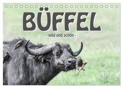 Büffel – wild und schön (Tischkalender 2024 DIN A5 quer), CALVENDO Monatskalender von Styppa,  Robert