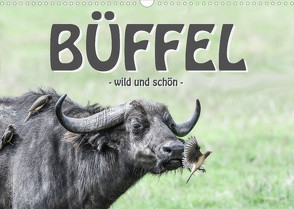 Büffel – wild und schön (Wandkalender 2023 DIN A3 quer) von Styppa,  Robert