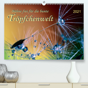 Bühne frei für die bunte Tröpfchenwelt (Premium, hochwertiger DIN A2 Wandkalender 2021, Kunstdruck in Hochglanz) von Roder,  Peter