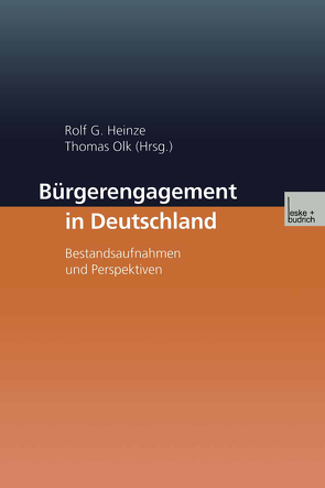 Bürgerengagement in Deutschland von Heinze,  Rolf G.