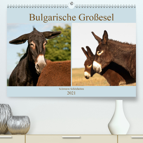 Bulgarische Großesel – Schwarze Schönheiten (Premium, hochwertiger DIN A2 Wandkalender 2021, Kunstdruck in Hochglanz) von Bölts,  Meike