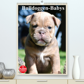Bulldoggen-Babys (Premium, hochwertiger DIN A2 Wandkalender 2022, Kunstdruck in Hochglanz) von Stanzer,  Elisabeth