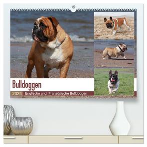 Bulldoggen – Englische und Französische Bulldoggen (hochwertiger Premium Wandkalender 2024 DIN A2 quer), Kunstdruck in Hochglanz von Chawera,  Chawera