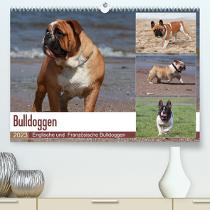 Bulldoggen – Englische und Französische Bulldoggen (Premium, hochwertiger DIN A2 Wandkalender 2023, Kunstdruck in Hochglanz) von Chawera