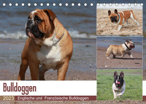 Bulldoggen – Englische und Französische Bulldoggen (Tischkalender 2023 DIN A5 quer) von Chawera