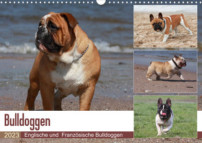 Bulldoggen – Englische und Französische Bulldoggen (Wandkalender 2023 DIN A3 quer) von Chawera