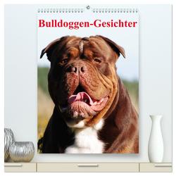 Bulldoggen-Gesichter (hochwertiger Premium Wandkalender 2024 DIN A2 hoch), Kunstdruck in Hochglanz von Stanzer,  Elisabeth