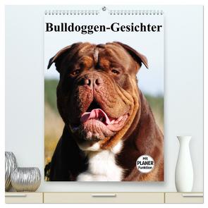 Bulldoggen-Gesichter (hochwertiger Premium Wandkalender 2024 DIN A2 hoch), Kunstdruck in Hochglanz von Stanzer,  Elisabeth