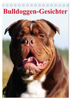 Bulldoggen-Gesichter (Tischkalender 2024 DIN A5 hoch), CALVENDO Monatskalender von Stanzer,  Elisabeth