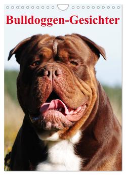 Bulldoggen-Gesichter (Wandkalender 2024 DIN A4 hoch), CALVENDO Monatskalender von Stanzer,  Elisabeth
