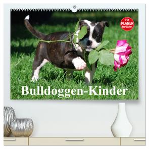 Bulldoggen-Kinder (hochwertiger Premium Wandkalender 2024 DIN A2 quer), Kunstdruck in Hochglanz von Stanzer,  Elisabeth