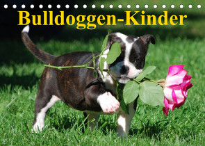 Bulldoggen-Kinder (Tischkalender 2023 DIN A5 quer) von Stanzer,  Elisabeth