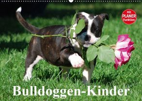 Bulldoggen-Kinder (Wandkalender 2019 DIN A2 quer) von Stanzer,  Elisabeth