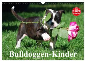 Bulldoggen-Kinder (Wandkalender 2024 DIN A3 quer), CALVENDO Monatskalender von Stanzer,  Elisabeth