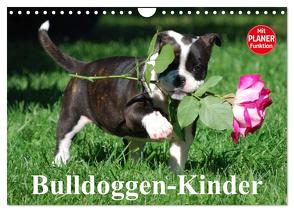 Bulldoggen-Kinder (Wandkalender 2024 DIN A4 quer), CALVENDO Monatskalender von Stanzer,  Elisabeth