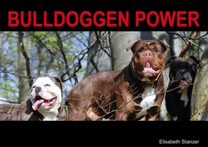 Bulldoggen Power (Posterbuch DIN A2 quer) von Stanzer,  Elisabeth