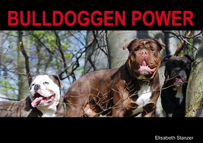 Bulldoggen Power (Tischaufsteller DIN A5 quer) von Stanzer,  Elisabeth