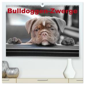 Bulldoggen-Zwerge (hochwertiger Premium Wandkalender 2024 DIN A2 quer), Kunstdruck in Hochglanz von Stanzer,  Elisabeth