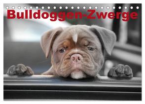 Bulldoggen-Zwerge (Tischkalender 2024 DIN A5 quer), CALVENDO Monatskalender von Stanzer,  Elisabeth