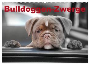Bulldoggen-Zwerge (Wandkalender 2024 DIN A2 quer), CALVENDO Monatskalender von Stanzer,  Elisabeth