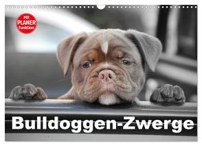 Bulldoggen-Zwerge (Wandkalender 2024 DIN A3 quer), CALVENDO Monatskalender von Stanzer,  Elisabeth