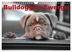 Bulldoggen-Zwerge (Wandkalender 2024 DIN A4 quer), CALVENDO Monatskalender von Stanzer,  Elisabeth