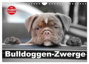 Bulldoggen-Zwerge (Wandkalender 2024 DIN A4 quer), CALVENDO Monatskalender von Stanzer,  Elisabeth