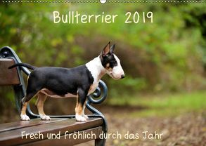 Bullterrier 2019 Frech und fröhlich durch das Jahr (Wandkalender 2019 DIN A2 quer) von Janetzek,  Yvonne