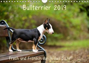 Bullterrier 2019 Frech und fröhlich durch das Jahr (Wandkalender 2019 DIN A4 quer) von Janetzek,  Yvonne