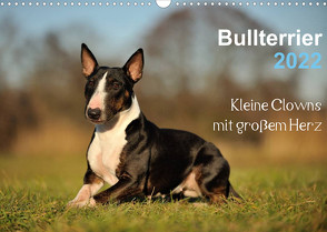 Bullterrier 2022 – Kleine Clowns mit großem Herz (Wandkalender 2022 DIN A3 quer) von Janetzek,  Yvonne