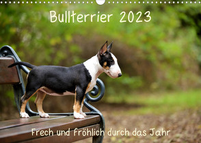Bullterrier 2023 Frech und fröhlich durch das Jahr (Wandkalender 2023 DIN A3 quer) von Janetzek,  Yvonne