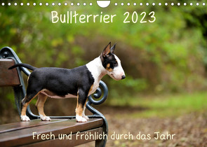 Bullterrier 2023 Frech und fröhlich durch das Jahr (Wandkalender 2023 DIN A4 quer) von Janetzek,  Yvonne