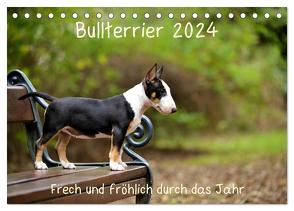 Bullterrier 2024 Frech und fröhlich durch das Jahr (Tischkalender 2024 DIN A5 quer), CALVENDO Monatskalender von Janetzek,  Yvonne