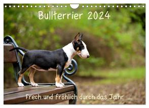 Bullterrier 2024 Frech und fröhlich durch das Jahr (Wandkalender 2024 DIN A4 quer), CALVENDO Monatskalender von Janetzek,  Yvonne