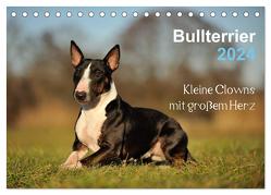 Bullterrier 2024 – Kleine Clowns mit großem Herz (Tischkalender 2024 DIN A5 quer), CALVENDO Monatskalender von Janetzek,  Yvonne