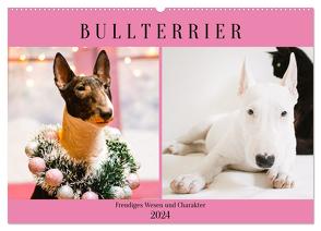 Bullterrier. Freudiges Wesen und Charakter (Wandkalender 2024 DIN A2 quer), CALVENDO Monatskalender von Hurley,  Rose