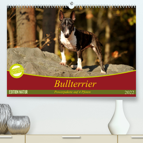 Bullterrier, Powerpakete auf 4 Pfoten (Premium, hochwertiger DIN A2 Wandkalender 2022, Kunstdruck in Hochglanz) von Janetzek,  Yvonne
