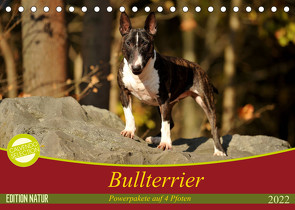 Bullterrier, Powerpakete auf 4 Pfoten (Tischkalender 2022 DIN A5 quer) von Janetzek,  Yvonne