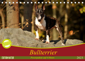 Bullterrier, Powerpakete auf 4 Pfoten (Tischkalender 2023 DIN A5 quer) von Janetzek,  Yvonne