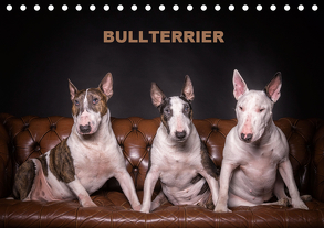 Bullterrier (Tischkalender 2020 DIN A5 quer) von Schubert,  Sven