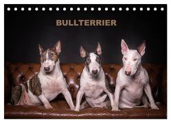 Bullterrier (Tischkalender 2024 DIN A5 quer), CALVENDO Monatskalender von Schubert,  Sven