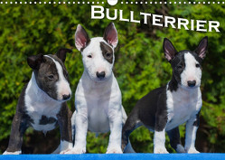 Bullterrier (Wandkalender 2023 DIN A3 quer) von Bullterrier