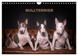 Bullterrier (Wandkalender 2024 DIN A4 quer), CALVENDO Monatskalender von Schubert,  Sven